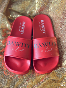 BAWDY Slides
