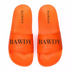 BAWDY Slides